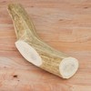 Chasing Our Tails Elk Antler Extra Large for Dogs 1 Count - 2 of 4