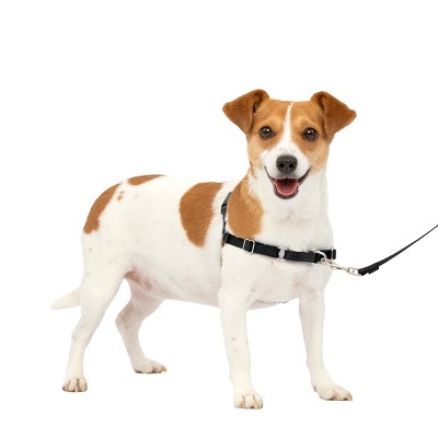 Best dog harness for best sale growing puppy