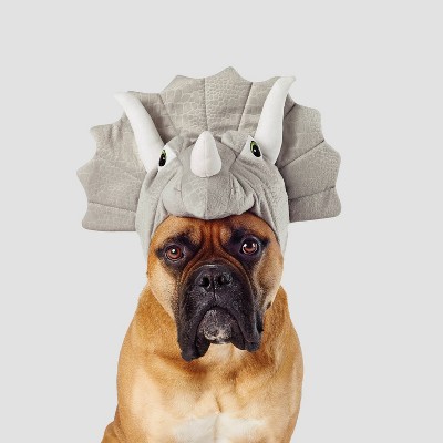 xl dog halloween costumes