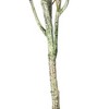 Vickerman Artificial Green Olive Tree in Pot - 4 of 4