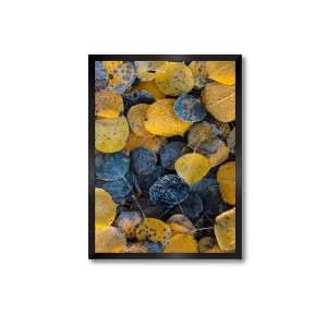 Courtside Market Autumn Crisps 30x40 Statement Piece - Framed Artboard - 1 of 2