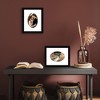 Americanflat Picture Frame with Oval Mat Insert and Shatter-Resistant Glass - Signature Collection - Photo Frame for Wall Display - 4 of 4
