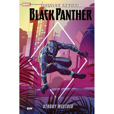 Marvel Action: Black Panther: Stormy Weather (Book One) - by  Kyle Baker (Paperback)