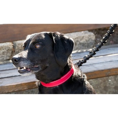 Happilax 18'' 20'' Adjustable Dog Collars Red Large Target