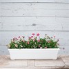 Novelty Countryside Flower Box Planter - 4 of 4