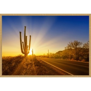 Amanti Art Saguaro National Park Setting Sun by Melanie Viola Canvas Wall Art Print Framed - 1 of 4