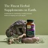 Gaia Herbs Vitex Berry (Chaste Tree) - Supports Hormone Balance & Fertility for Women - 120 Vegan Caps - 3 of 4