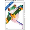 Trends International Tree Frog Framed Wall Poster Prints - 3 of 4