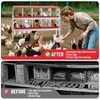 10-Hole Galvanized Chicken Nesting Box - Heavy Duty Egg Laying Box for Hens & Ducks | Rollout Egg Collection | Ventilated Design with Easy Access | - 3 of 4