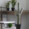 DSVIMOY Artificial Saguaro Cactus in Black Pot, Faux Cacti Plants for Home Garden Office Store Decoration, Green, 8"*5"*24.5" - 4 of 4