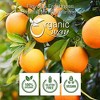 Organic Orange Peel Powder 4 Oz - 2 of 4