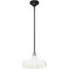 Progress Lighting, Cedar Springs, 1-Light Outdoor Hanging Light, White Finish, Warehouse Shade - 4 of 4