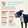 Country Brook Petz Everyday Nylon Dog Collar - 4 of 4