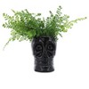 Sagebrook Home Ceramic Skull Vase - Contemporary Decorative Skull Vase for Succulents or Small Plants - Indoor or Outdoor Skull Vase - 3 of 4
