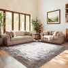 Acekool 6x9 Abstract Area Rug, Ultra-Soft Modern Carpet, Stain Resistant, Non Slip Low Pile Mat, Easy Washable for Living Room, Office, Grey - 2 of 4