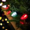 Northlight 25ct Red and Pure White LED C7 Christmas Lights - 16ft Green Wire - 2 of 4