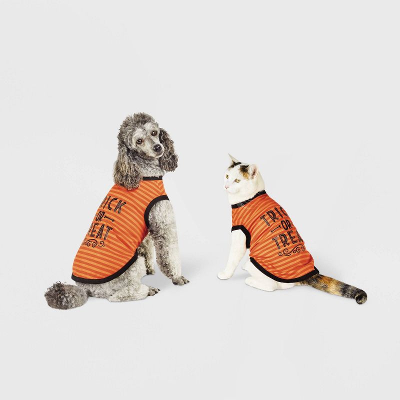 Halloween Trick or Treat Graphic Dog and Cat T-Shirt - Orange - Hyde & EEK! Boutique™, 1 of 4