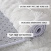 Luxury Modern Plush Fluffy Velvet Rug 5 x 8 ft, Faux Wool Rugs with  Non-Slip & Washable,for Bedroom Living Room Nursery - 4 of 4
