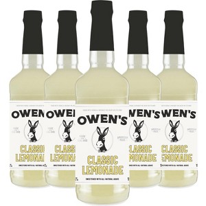 Owen’s Craft Mixers Sparkling Margarita Handcrafted in the USA with Premium Ingredients Vegan & Gluten-Free Soda Mocktail and Cocktail Mixer - 1 of 4