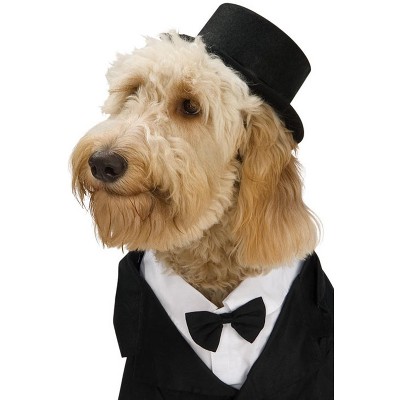 dog top hat