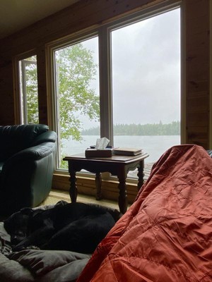 Guest review image 4 of 4, zoom in