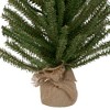Northlight 3' Medium Scottsdale Pine Artificial Christmas Tree in Burlap Base - Unlit - 3 of 3