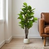 KTMBDW Artificial Fiddle Leaf Fig Tree Fake Ficus Lyrata Plant, Faux Plants in Pot for Indoor Outdoor Home Office Garden Modern Decoration - 2 of 4