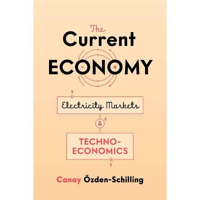 The Current Economy - by  Canay Özden-Schilling (Paperback)