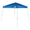 Caravan Canopy V-Series 2 Slanted Leg Sidewall Kit & V-Series 10 x 10' Instant Canopy Kit with Set of 4 Black Cement Weights for Recreational Uses - 3 of 4