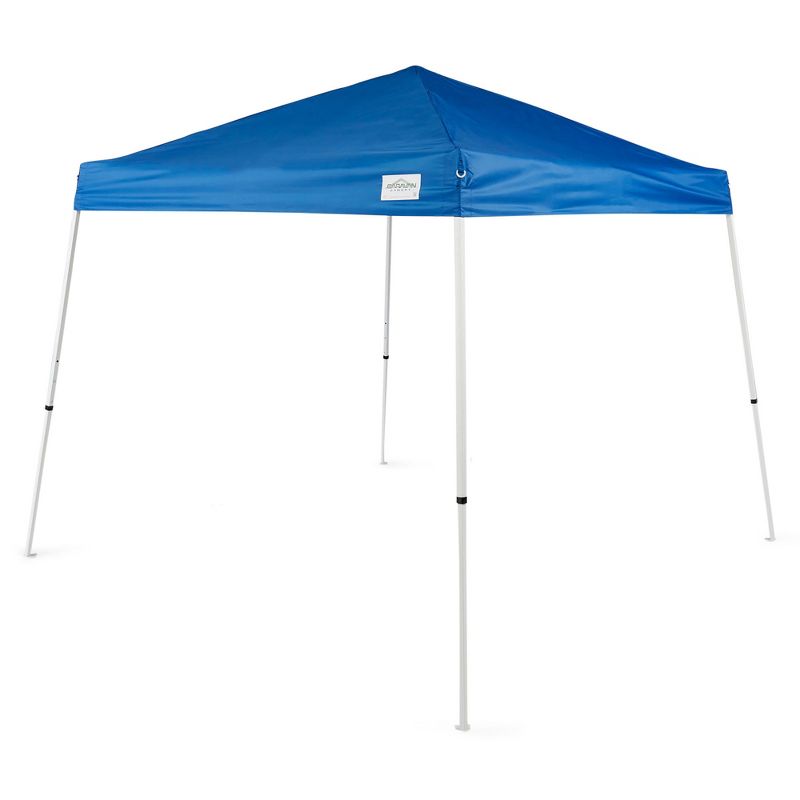 Caravan Canopy V-Series 2 Slanted Leg Sidewall Kit & V-Series 10 x 10' Instant Canopy Kit with Set of 4 Black Cement Weights for Recreational Uses, 3 of 7