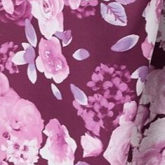 dark berry rose garden