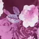 dark berry rose garden