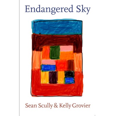 Sean Scully & Kelly Grovier: Endangered Sky - (Hardcover)
