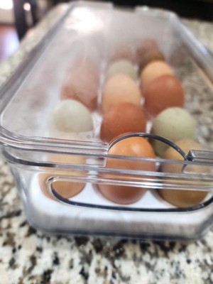 iDesign Multisize Bpa-free Egg Holder in the Food Storage Containers  department at