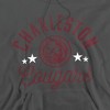 College of Charleston Official Cougars Adult Pull-Over Hoodie - 2 of 4
