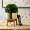 Sullivans Brass Planter Trio On Stands Set of 3, 21"H, 15.5"H & 10"H Gold - 3 of 4