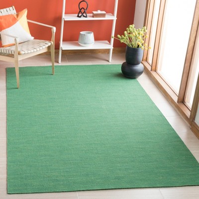 Safavieh Green Wool and Cotton Flat Woven 8' x 10' Area Rug
