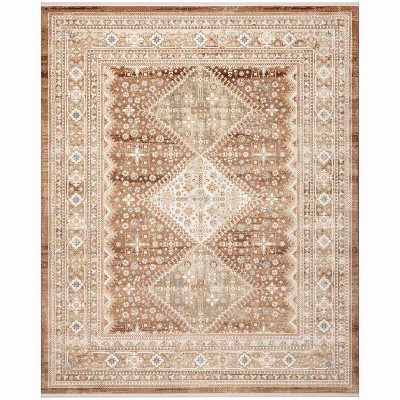Nourison Pardis Traditional Vintage Indoor Rug