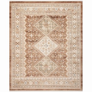 Nourison Pardis Traditional Vintage Indoor Rug - 1 of 4