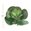 Floral Home 10" Paddle Plant Lifelike Succulent - 12-Piece - 2 of 2