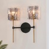 LNC Echonalyri  Polished Gold and Matte Black Modern/Contemporary  Wall Lights,Smoked Textured Glass Shade,1 Light/2 Light/3 Light/4 Light - 2 of 4