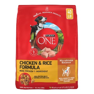 Purina ONE SmartBlend Natural Dry Dog Food with Chicken & Rice