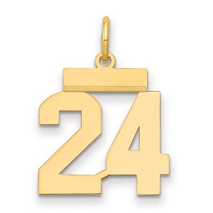 Black Bow Jewelry 14k Yellow Gold, Athletic Collection, Small Polished Number 24 Pendant - 1 of 3