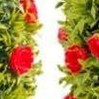 red,2pcs