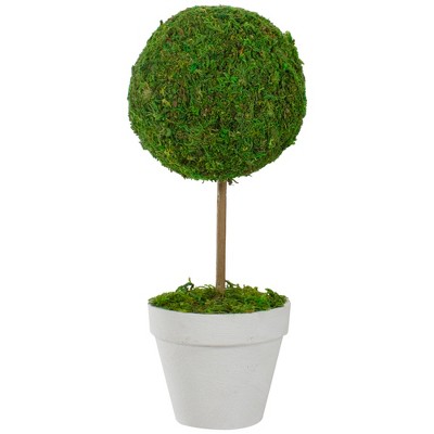 Northlight 15" Reindeer Moss Ball Potted Artificial Spring Topiary Tree - Green/White