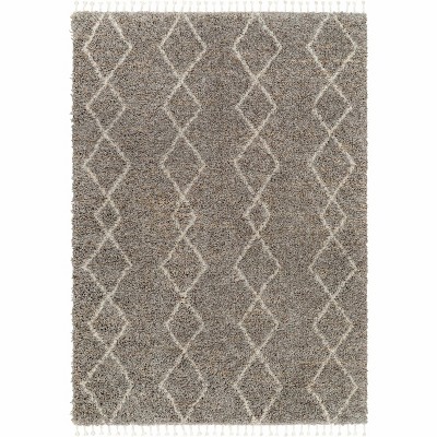 Hauteloom Ishan Taupe Plush Rug with Tassels
