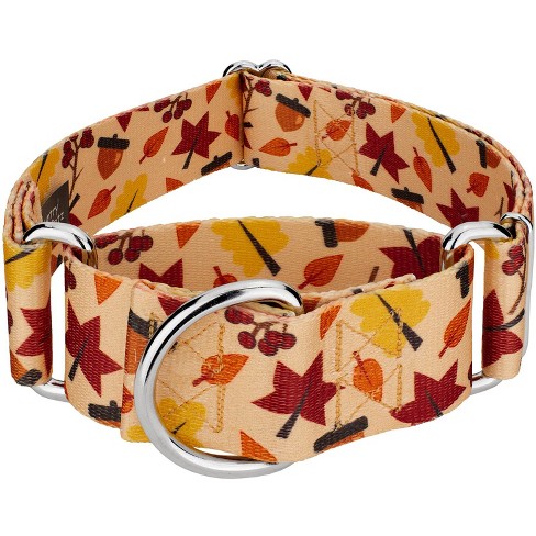 Country Brook Petz Deluxe Fall Foliage Dog Collar- Made in The U.s.a., Medium