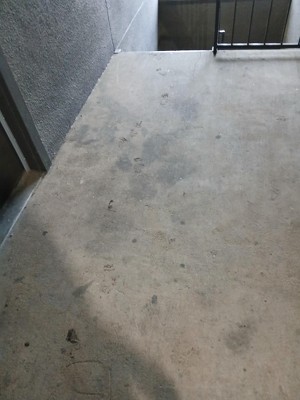 Guest review image 2 of 2, zoom in