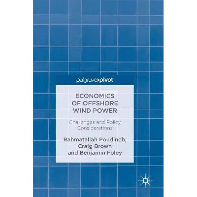 Economics of Offshore Wind Power - by  Rahmatallah Poudineh & Craig Brown & Benjamin Foley (Hardcover)