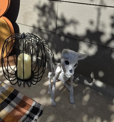 Guest review image 1 of 1, zoom in